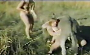 retro zoophilia, bestiality movies